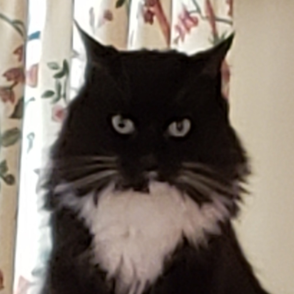 Meet your Posher, Jennifer